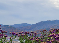 충북 제천시 <천둥산>