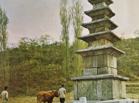 1971년 촬영, 하남 동사지 5층 석탑